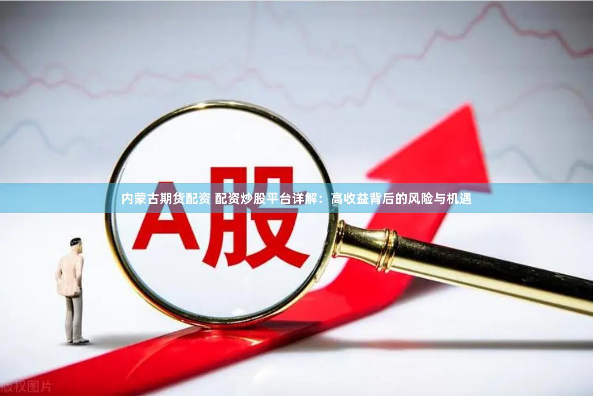 内蒙古期货配资 配资炒股平台详解：高收益背后的风险与机遇