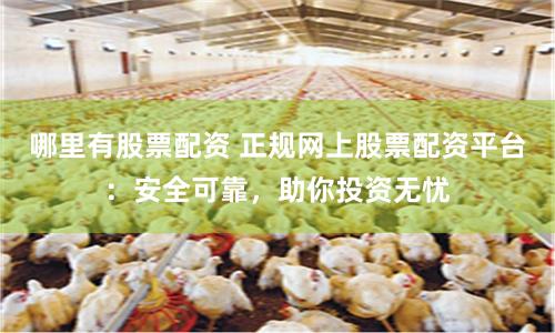 哪里有股票配资 正规网上股票配资平台：安全可靠，助你投资无忧