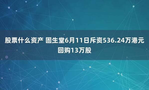 股票什么资产 固生堂6月11日斥资536.24万港元回购13万股