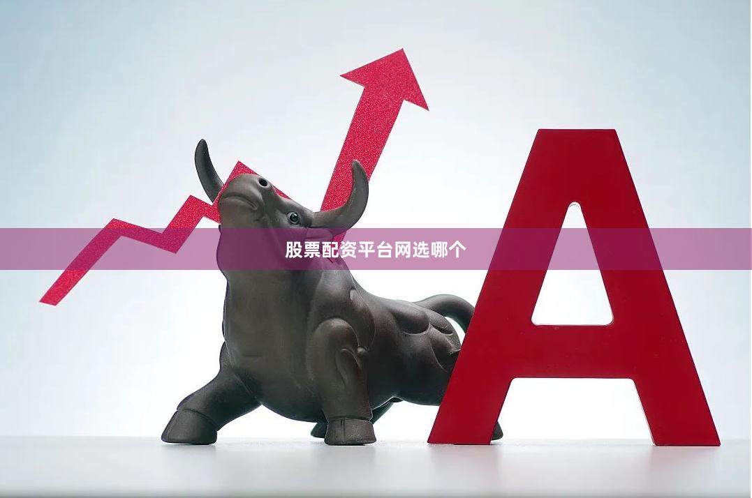 股票配资平台网选哪个
